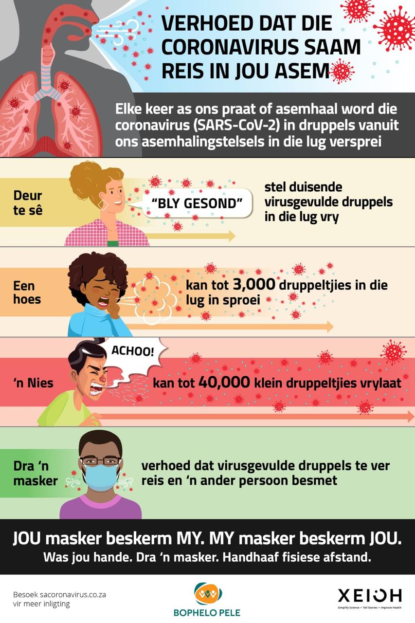 Afrikaans-infographic