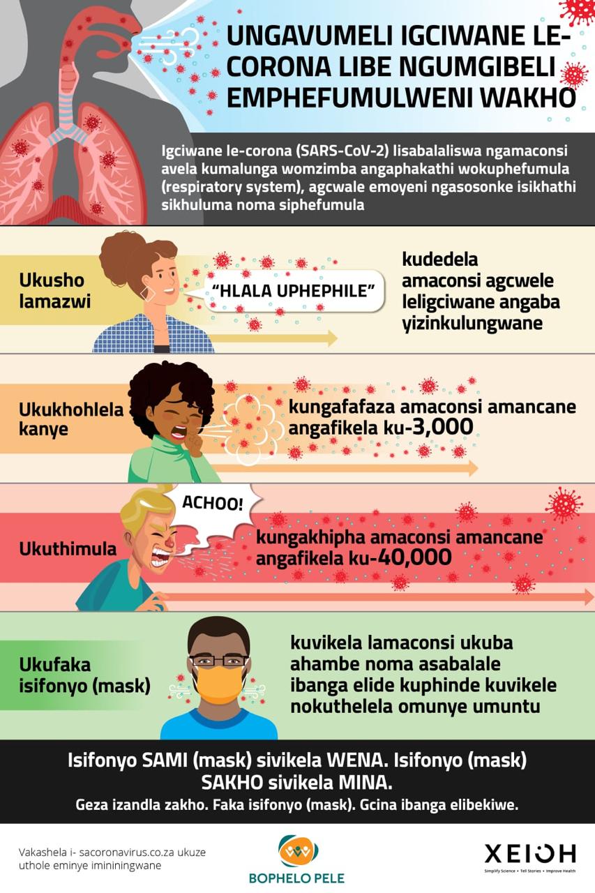 Zulu-and-Sotho-infographic